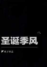 圣诞风的歌